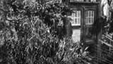 Doctor Who Picture Gallery