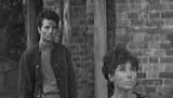 Doctor Who Picture Gallery