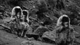 Doctor Who Picture Gallery