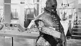 Doctor Who Picture Gallery
