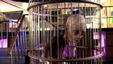 Doctor Who Picture Gallery