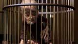 Doctor Who Picture Gallery