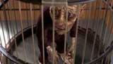 Doctor Who Picture Gallery