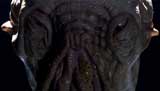 Doctor Who Picture Gallery