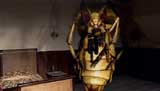 Doctor Who Picture Gallery