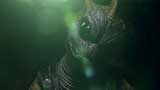 Doctor Who Picture Gallery