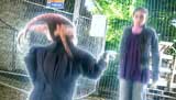 The Sarah Jane Adventures Picture Gallery
