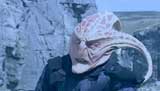 The Sarah Jane Adventures Picture Gallery
