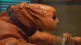 The Sarah Jane Adventures Picture Gallery