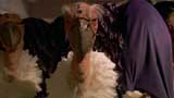 The Sarah Jane Adventures Picture Gallery
