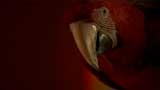 The Sarah Jane Adventures Picture Gallery