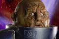 The Last Sontaran