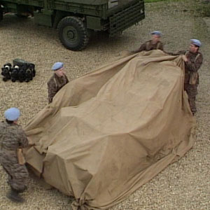 Battlefield Bessie Appearance